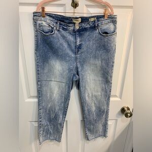 Logo by Lori Goldstein jeans size 18WP